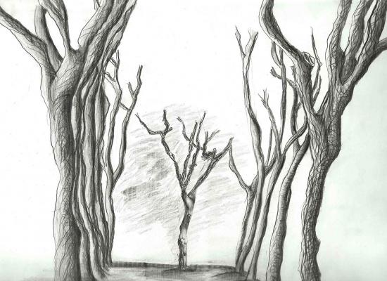 Desenhos